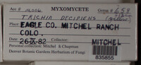 Image Associated With the Occurence